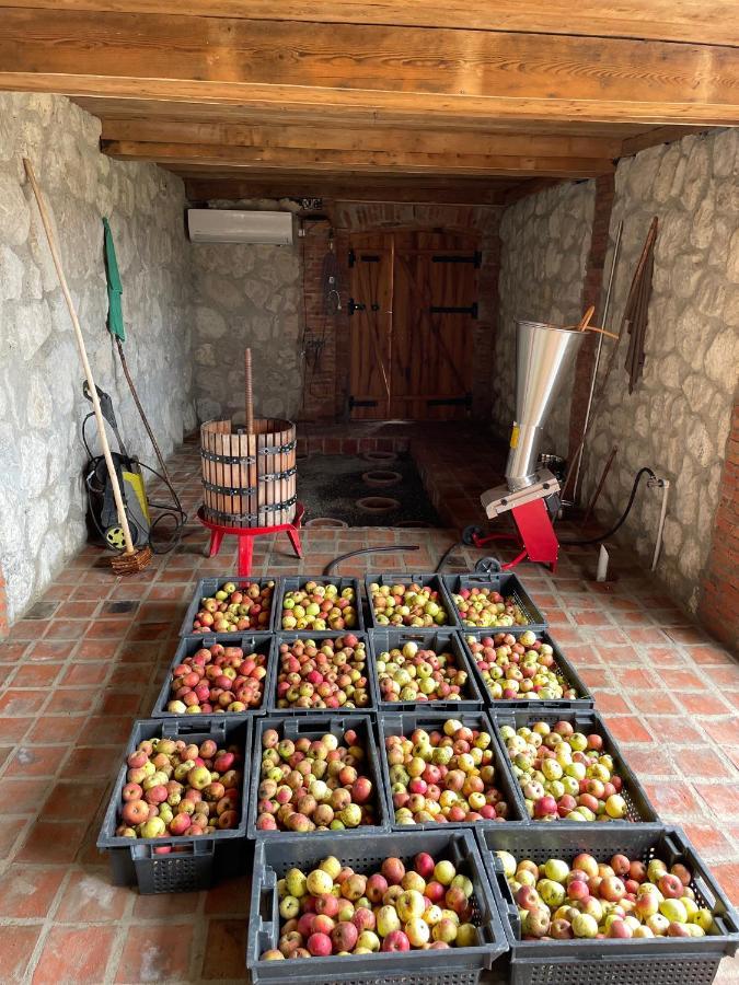 安布罗劳里 Sadmeli Winery酒店 外观 照片