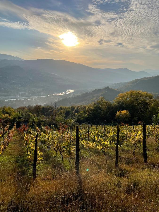 安布罗劳里 Sadmeli Winery酒店 外观 照片