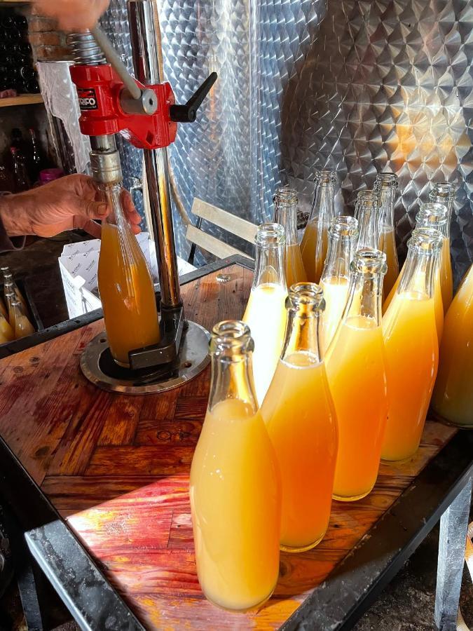 安布罗劳里 Sadmeli Winery酒店 外观 照片